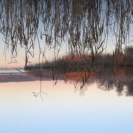 Charmantes Naturnahes Tiny House 