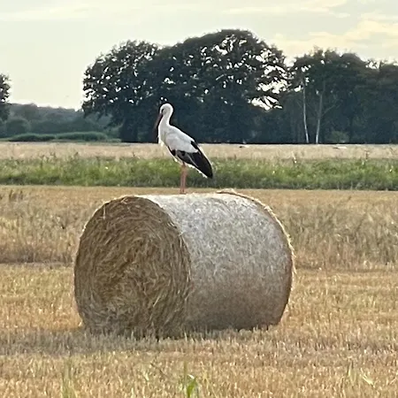 Charmantes Naturnahes Tiny House 