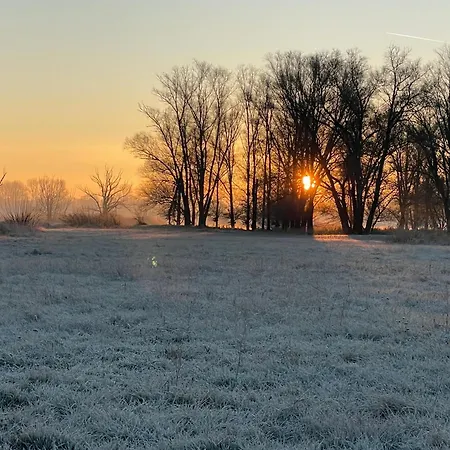 Holiday home Charmantes Naturnahes Tiny House 