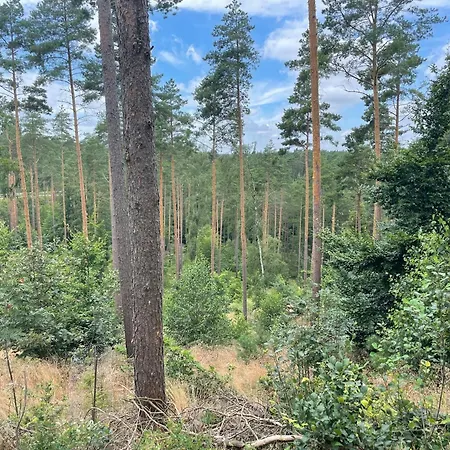 Holiday home Charmantes Naturnahes Tiny House 